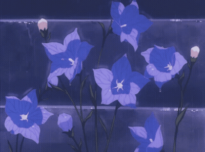 Purple Flowers With White Centers GIF