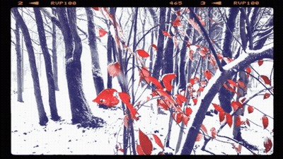 Purple Forest With Rup100 GIF
