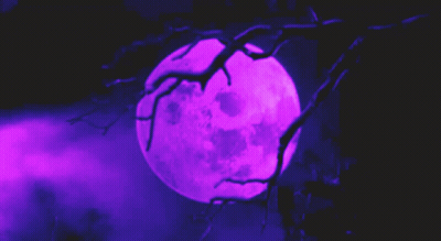 Purple Full Moon Behind Tree Branch GIF