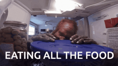 Purple Furry Number 6 GIF