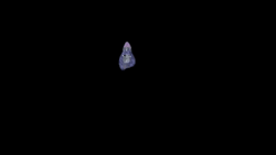 Purple Gorilla Tag Heard Something GIF