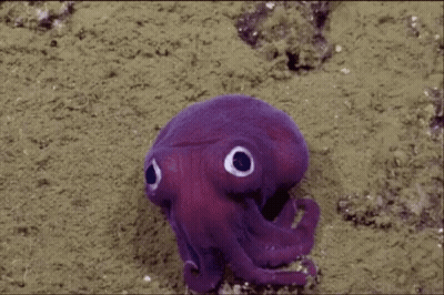 Purple Octopus With Big Eyes Crawling In Ocean GIF
