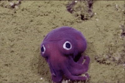 Purple Octopus With Big Eyes Crawling On Sand GIF