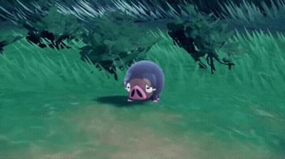 Purple Pig With Pink Nose In Grass GIF