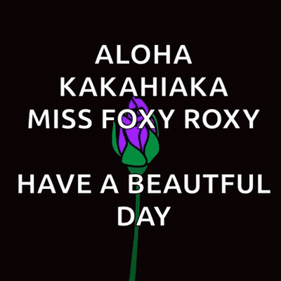 Purple Rose Aloha Kakahiaka Miss Roxy GIF