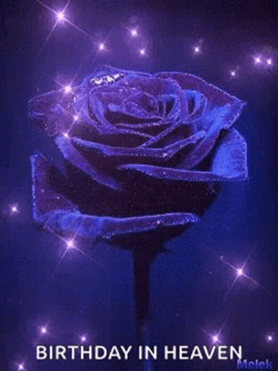 Purple Rose Birthday In Heaven GIF
