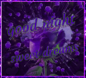Purple Rose Good Night Sweet Dreams GIF