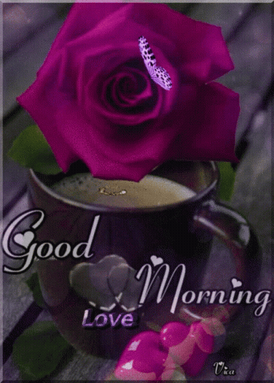 Purple Rose Next To Coffee Saying Good Morning Love GIF