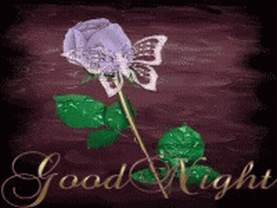 Purple Rose With Butterfly Good Night GIF