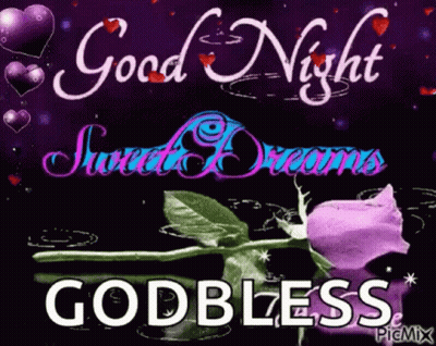 Purple Rose With Good Night Sweet Dreams GIF