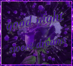 Purple Roses Goodnight Sweet Dreams GIF