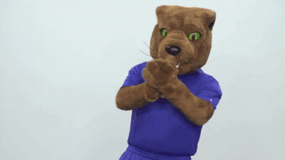 Purple Shirt Mascot Saying Pitt GIF