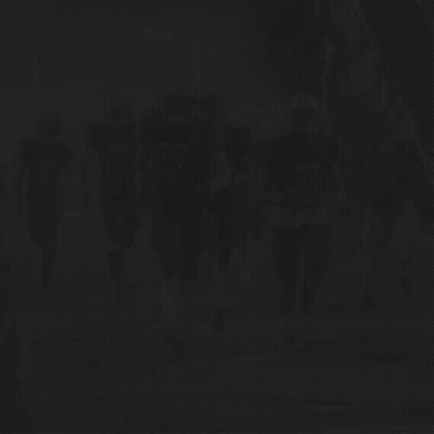 Purple Sign Saying Dogs Win GIF