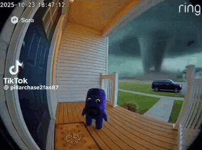 Purple Stuffed Animal Standing On Porch GIF