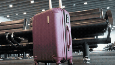 Purple Suitcase Saying Samsonite GIF