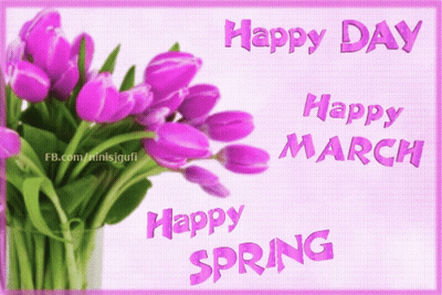 Purple Tulips Bouquet Happy Day GIF
