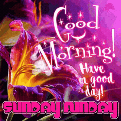Purple Yellow Flower Good Morning Have Good Day Sunday GIF