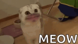Purr Big Lips Meow Cat GIF