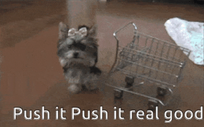 Push It Real Good Puppy GIF