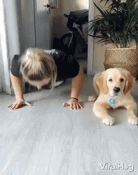 Push Up Cute Dog Exercise GIF