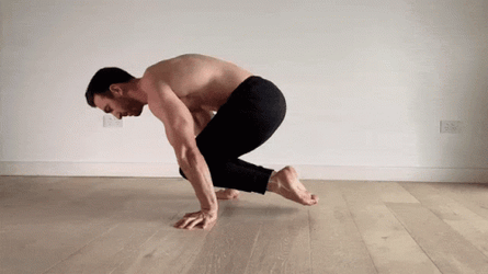 Push Up Planche Tuck Lift Workout GIF