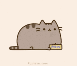 Pusheen Cat Eating On Bowl GIF