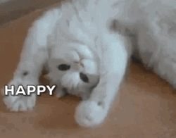 Pusheen Cat Happy Birthday Greyscale GIF
