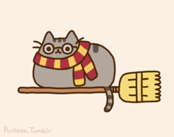 Pusheen Cat Harry Potter Parody GIF
