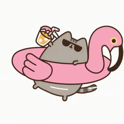 Pusheen Cat Pink Swan Floater GIF