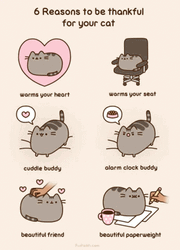 Pusheen Cat Reasons To Love Cats GIF