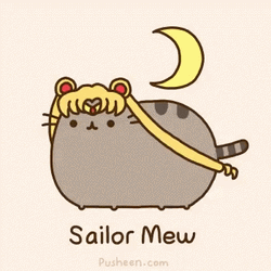 Pusheen Cat Sailor Mew Meme GIF