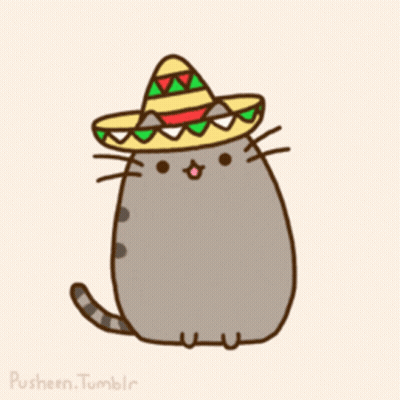 Pusheen Cat Wearing Sombrero GIF