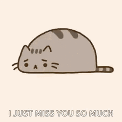 Pusheen I Just Miss You So Much