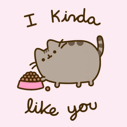 Pusheen I Like You GIF