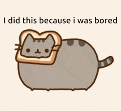 Pusheen Loaf Face GIF