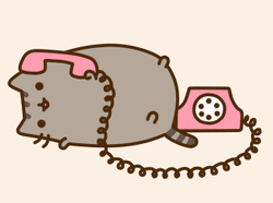 Pusheen On Telephone GIF