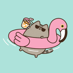 Pusheen Pool Chill GIF
