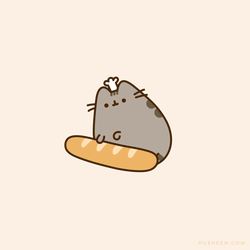 Pusheen Pusheen Cat GIF