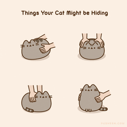 Pusheen Pusheen Cat GIF