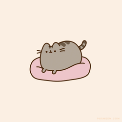 Pusheen Pusheen Cat GIF