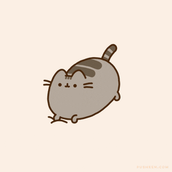 Pusheen Pusheen Cat GIF