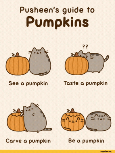 Pusheen's Guide To Pumpkins GIF