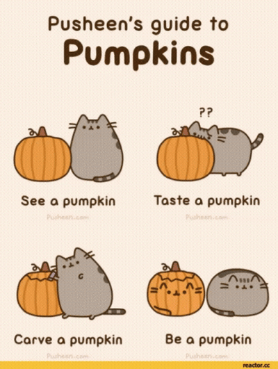 Pusheen's Guide To Pumpkins See Taste And Carve GIF