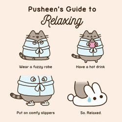 Pusheen's Relaxing Guide GIF