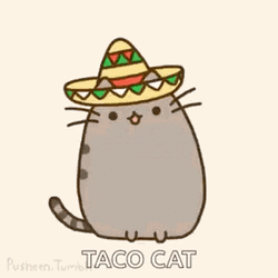 Pusheen Taco Cat Dancing GIF