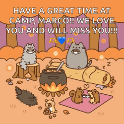 Pusheen Thanksgiving Camp Message For Marco GIF