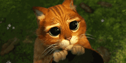 Puss In Boots Awww GIF