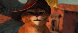 Puss In Boots Bad Kitty GIF