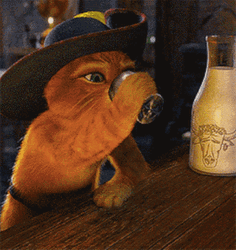 Puss In Boots Drinking Beer GIF