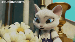 Puss In Boots Giving Flowers To Dulcinea GIF